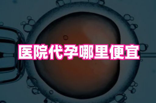 权威助孕网 1
