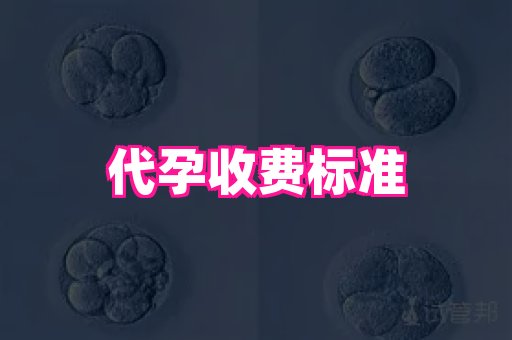 权威助孕网 3